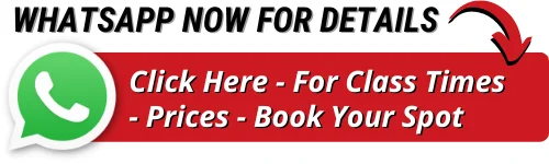 yogafx-whatsapp-button yogafx-whatsapp-button