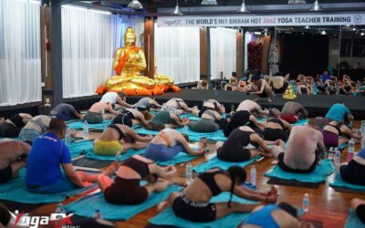 300-Hour Yoga Teacher Training: What It Is, What It Costs, and Whether You Actually Need One